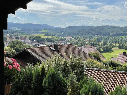 sammlung_linn_2021_001