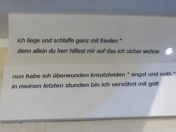 image-6486